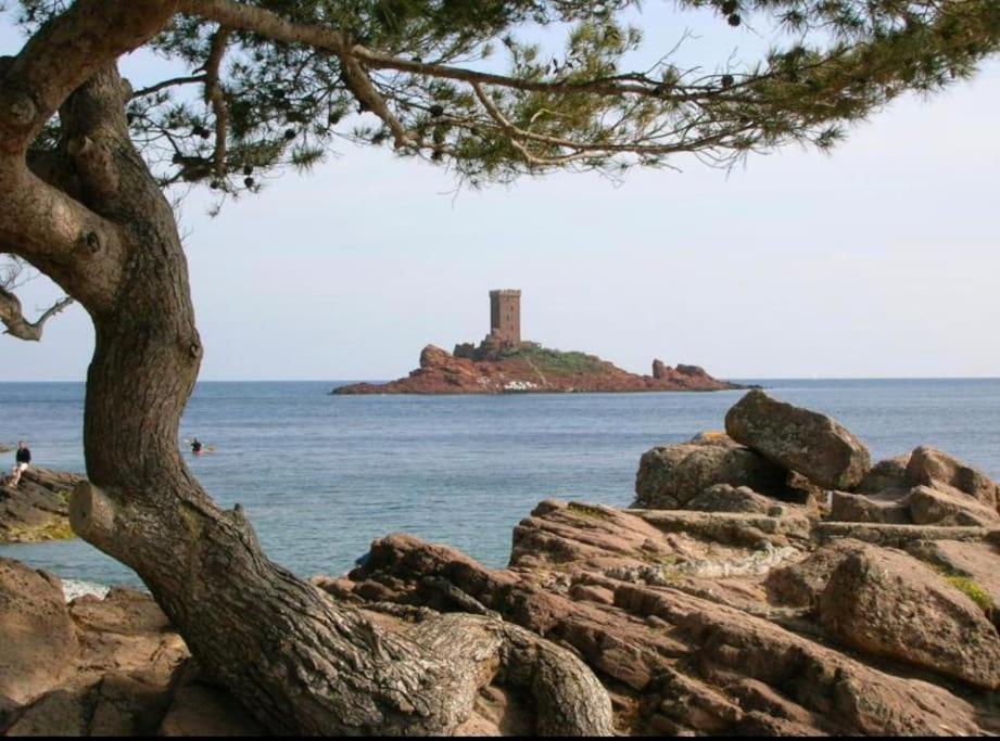 Chaleureux Appartement Face Au Port Sta Lucia, Tout A Pieds, Wifi Saint-Raphaël Dış mekan fotoğraf