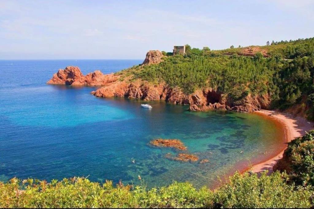 Chaleureux Appartement Face Au Port Sta Lucia, Tout A Pieds, Wifi Saint-Raphaël Dış mekan fotoğraf